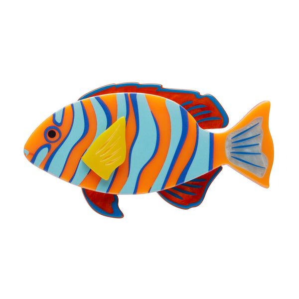Harlequin Tuskfish Brooch
