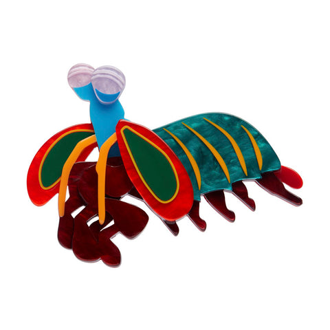 Peacock Mantis Shrimp Brooch