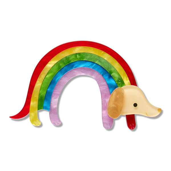 Rainbow Ruff Brooch