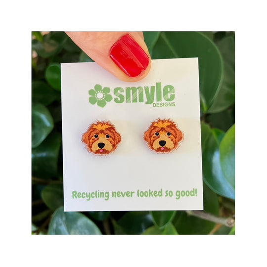 Cavoodle Studs