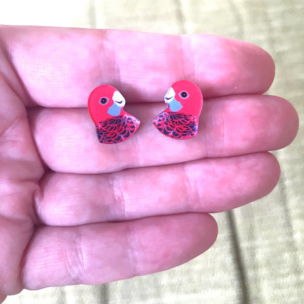 Crimson Rosella Studs