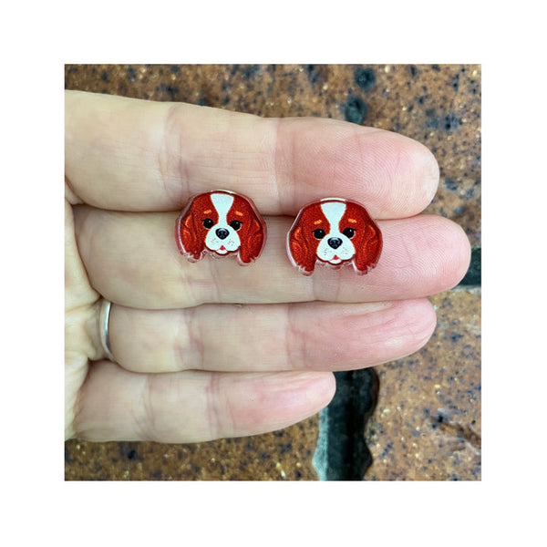King Charles Cavalier Studs