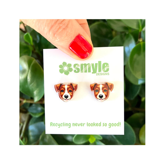 Jack Russell Terrier Studs