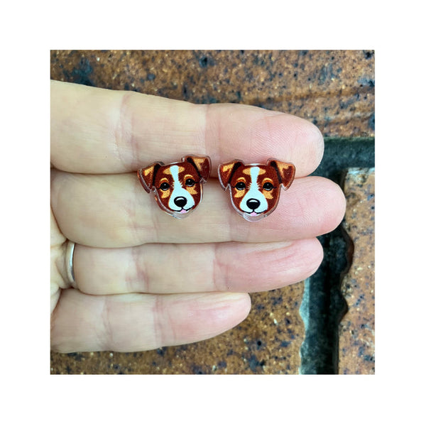 Jack Russell Terrier Studs
