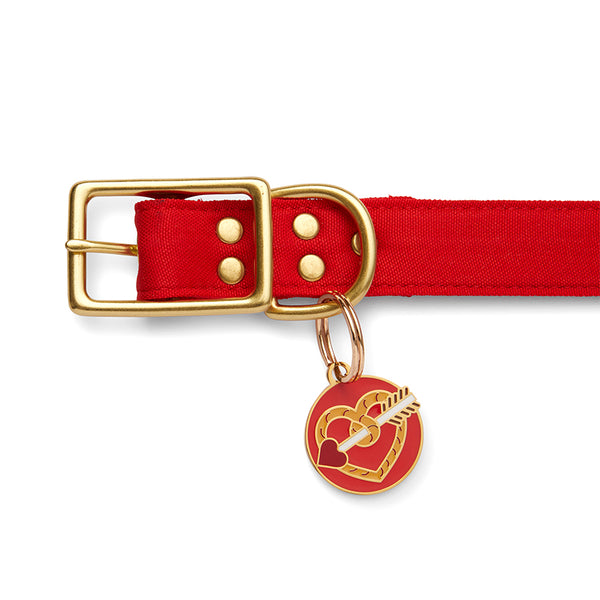 A Shot Through the Heart Enamel Pet Charm